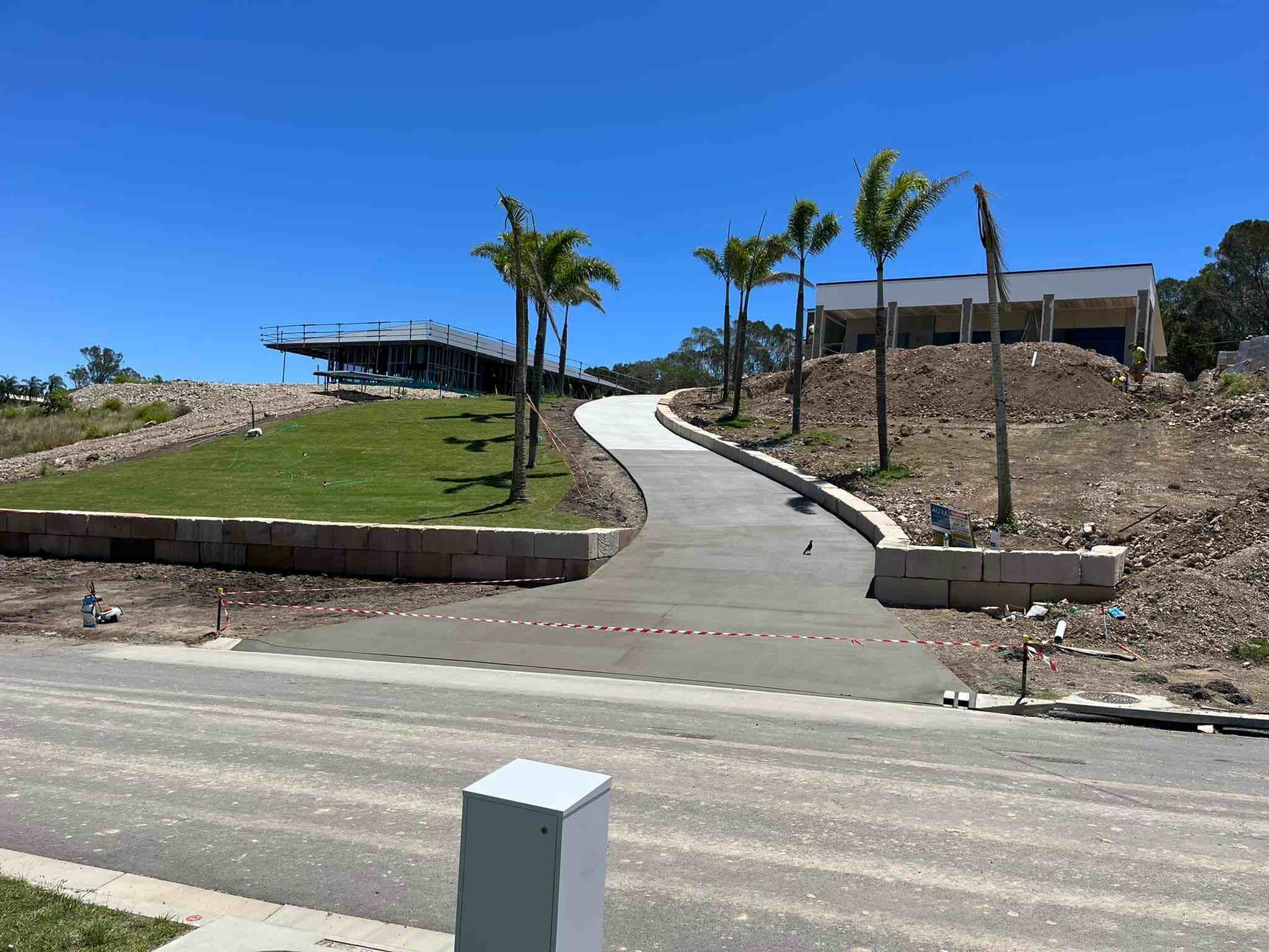 Curved concrete driveway climbing a slope past palm trees, wide view